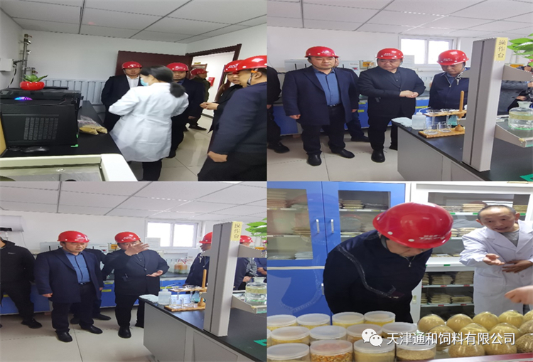 1686384048805363.jpg 3.jpg