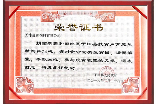 榮譽證書（于田縣）